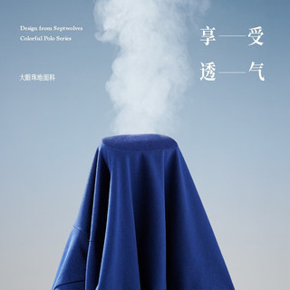 七匹狼 1D1D30606666 凉感抗菌 POLO衫 深蓝 M