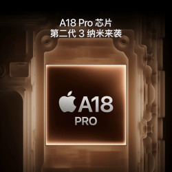 苹果 Apple iPhone 16 Pro Max 5G手机 256