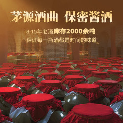碧春 碧春密15酱香老酒