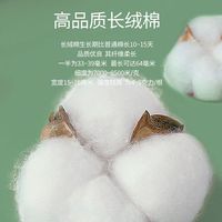 雅鹿粗螺纹纯棉背心230克全棉汗衫子(成分:100%棉) 黑色+黑色 4XL (180-200斤)