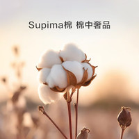 罗莱生活 LUOLAI 奢享高支枕套家纺简约纯棉全棉单人拆件枕套床上用品 【装】逍遥灰枕套-灰色 1支 单只 48cm*74cm 【1只装】逍遥灰枕套-灰色