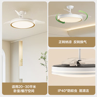 OPPLE/欧普照明 隐形扇 风扇吊灯 白金 24瓦 1个