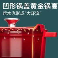 家用珐琅锅微压铸铁汤煲保温锁水搪瓷汤锅陶瓷煲厨房炖锅不挑灶