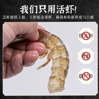 口水时代青岛大虾20/30 大号虾 青岛本土大虾 鲜活白虾海虾 2030青岛大虾 3斤(净重)  整箱 限量下单赠金枪鱼山药饼