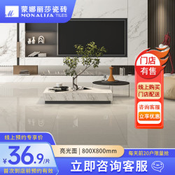 蒙娜丽莎瓷砖 现代简约客厅地砖 800x800暖色耐磨瓷砖 水云石8FMB10720PM