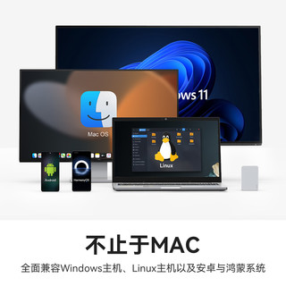 奥睿科（ORICO）1T磁吸移动固态硬盘BookDrive适用macbook Pro笔记本iPhone16Promax苹果手机直连1050MB/s  P10 1TB 【磁吸款】磁吸设计 边录边存