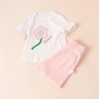 夏季女童纯棉运动套装短T恤长裤套装中小童上衣防蚊裤儿童装2件套