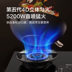 海信 Hisense S2系列双边定时联动猛火灶具5.2KW家用嵌入式双灶台纳米易清洁DB50天然气20%