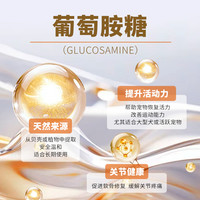 瑞典司伟卡成年猫狗关节粉宠物养护含四大关节成分营养补充剂