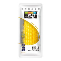 北纬47度水果鲜玉米白糯黄糯即食新鲜免煮甜玉米真空早餐粗粮代餐