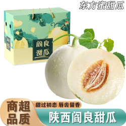 南步 陕西阎良甜瓜 2025东方蜜甜瓜软糯小籽蜜瓜香瓜白瓜新鲜水果整箱 5斤 精品瓜