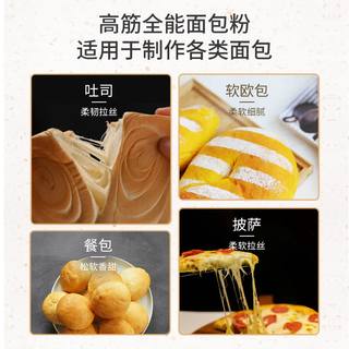  GOLDEN STATUE/金像牌 高筋面粉