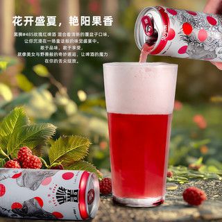  SNOWFLK/雪花 添加果汁 果啤  包装 330ml 12罐