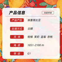 TIMEMORE泰摩咖啡 耶加雪菲咖啡豆 埃塞俄比亚日晒G1等级单品新鲜手冲咖啡 200g（100g*2袋）