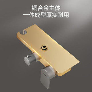  HEGII/恒洁 智能除垢 淋浴花洒套装+喷枪  双重除垢+手持三出水947-333-SH