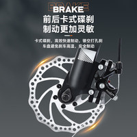 凤凰（Phoenix）山地自行车成人钢架变速三刀轮单车 ZB888 24英寸24速灰色 24寸24速 钢架 三刀轮 灰色