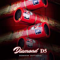 【2筒】RSL亚狮龙羽毛球D5耐打专业比赛飞行稳定鹅毛球