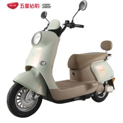 五星钻豹 G4 电动摩托车 ZB1200DT-37 72V