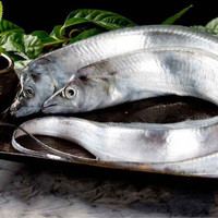 京沭带鱼 精品海钓带鱼 新鲜特大整条带鱼礼盒整箱 海鲜水产生鲜鱼类 5斤装（半斤一条）