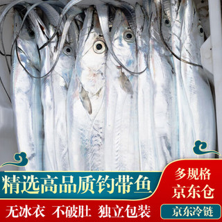 京沭带鱼 精品海钓带鱼 新鲜特大整条带鱼礼盒整箱 海鲜水产生鲜鱼类 8斤礼盒（半斤一条）