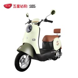 五星钻豹 G6 电动摩托车 72V 电动车