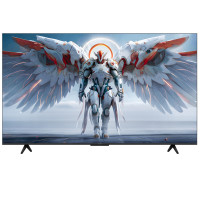 雷鸟 FFALCON 鹤7 PRO 25款75英寸 QD-MiniLED智能电视机 75R795C