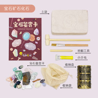 麦趣星球 MaggicSeed 儿童恐龙考古宝石挖掘化石玩具