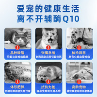 德国Candypeti宠物辅酶q10猫咪保护心脏肥大狗狗辅助调理强心脏