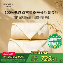 钱皇 黄金丝贵族蚕丝被  100%桑蚕长丝 夏凉被 1斤 220*240cm 黄色