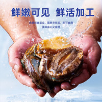 【K姐！】海乡集海鲜鲜冻鲍鱼水产食材商用