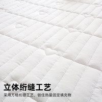 懒无限A类四季床褥薄垫子 家用榻榻米透气防滑软垫被1.8*2米 贵族白【四季可用 抗菌舒适】