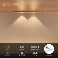 松潮 changtiao22 智能充电人体感应小夜灯 28cm 暖光