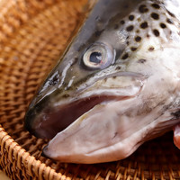 纯尔冷冻去腮三文鱼鱼头 大西洋鲑鱼 净重350-450g*3个 源头直发 三文鱼鱼头 1200g