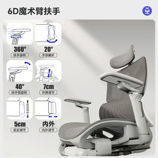  Loctek/乐歌 人体工学电脑椅  【6D扶手+特网坐垫】Y36-Pro 转椅