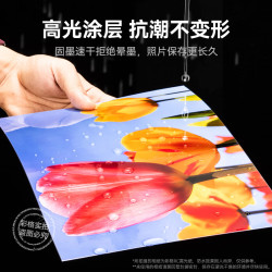 INKCLOUD 彩格联名6寸相纸 高光泽照片纸 照片打印纸 相片打印纸 照片打印机相纸 彩色喷墨打印相纸4R 100张
