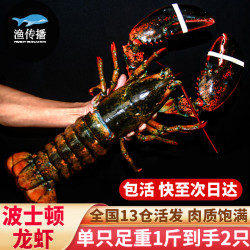 渔传播 波士顿龙虾 2只 1kg 礼盒装