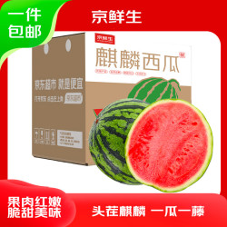 京鲜生 麒麟西瓜 净重5-6斤 1枚装 端午水果源头直发