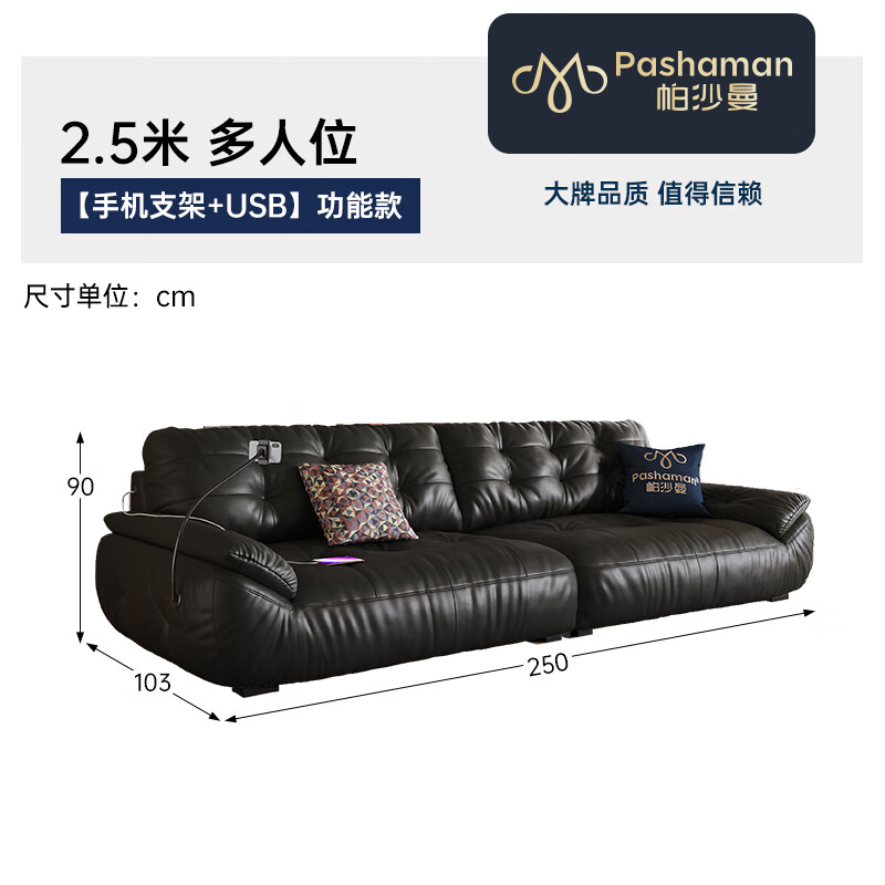 【支架+USB充电】2.5米 2696ZP#