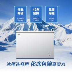 Ronshen 容声 300升冷藏冷冻可转换冰柜家用商用冷冻高效减霜大容量一级能效冷柜BD/BC-300ZMSM
