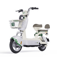 LUYUAN/绿源 长续航 电动自行车 锂电