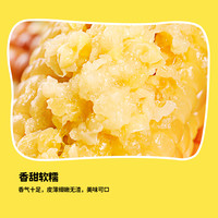 华田禾邦新玉米云南香糯小玉米儿童早餐代餐玉米