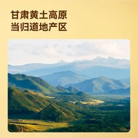 京东京造当归+党参+黄芪组合装甘肃产泡水养生茶煲汤料补气