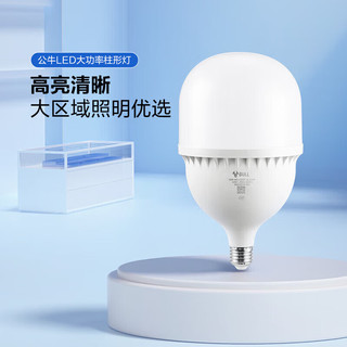 公牛（BULL）LED灯泡高亮柱形灯厂房车间商超食堂 100W球泡白光6500KE27螺口