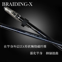 DAIWA/达亿瓦 远投 海钓竿