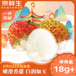 京鲜生 广东妃子笑荔枝 单果18g+ 净重5斤装