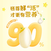 金龙鱼营养胚芽米300g 1盒装