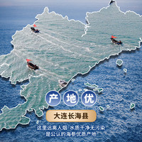 张奶奶×京觅 大连淡干海参  辽参 端午节送礼 营养滋补礼盒