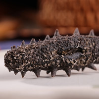 张奶奶大连淡干海参 底播辽刺参100g 24-30头 礼盒装 高年限好泡发 100g24-30头