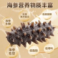 张奶奶大连淡干海参 底播辽刺参1斤75-105头  高端无污染 【壕享装】淡干500g75-105头