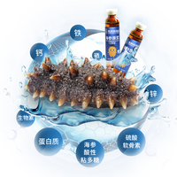 张奶奶海参肽原浆口服液钙铁锌吸好吸收肽饮品 儿童款 600ml礼盒 【肽饮品】儿童款600ml